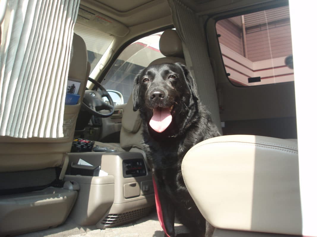 横浜のワンボックスタクシー・ハイヤー「ジュンタク」／TAXI-JUN（タクシージュン）