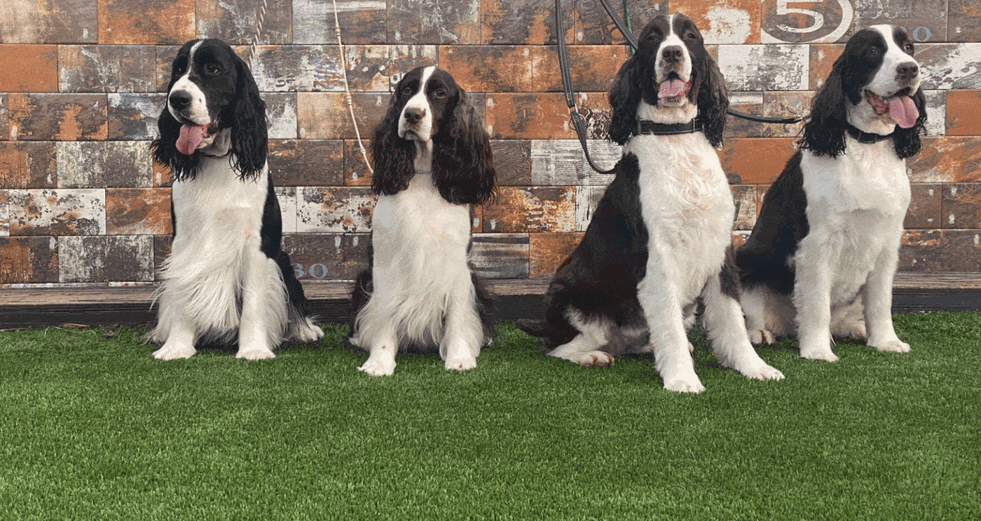 横浜のワンボックスタクシー・ハイヤー「ジュンタク」／TAXI-JUN（タクシージュン）