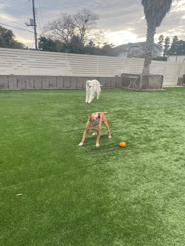 横浜のワンボックスタクシー・ハイヤー「ジュンタク」／TAXI-JUN（タクシージュン）