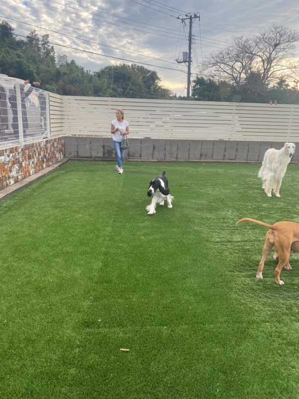 横浜のワンボックスタクシー・ハイヤー「ジュンタク」／TAXI-JUN（タクシージュン）