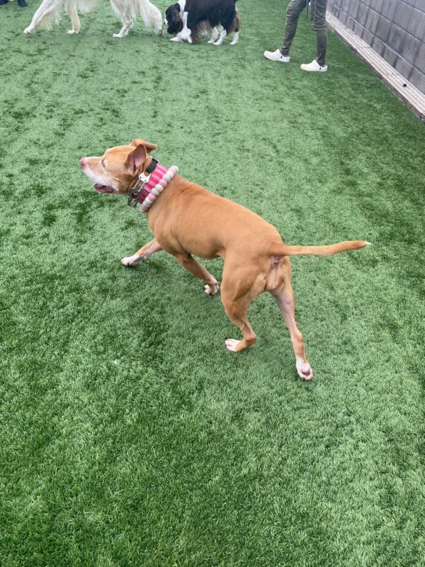 横浜のワンボックスタクシー・ハイヤー「ジュンタク」／TAXI-JUN（タクシージュン）