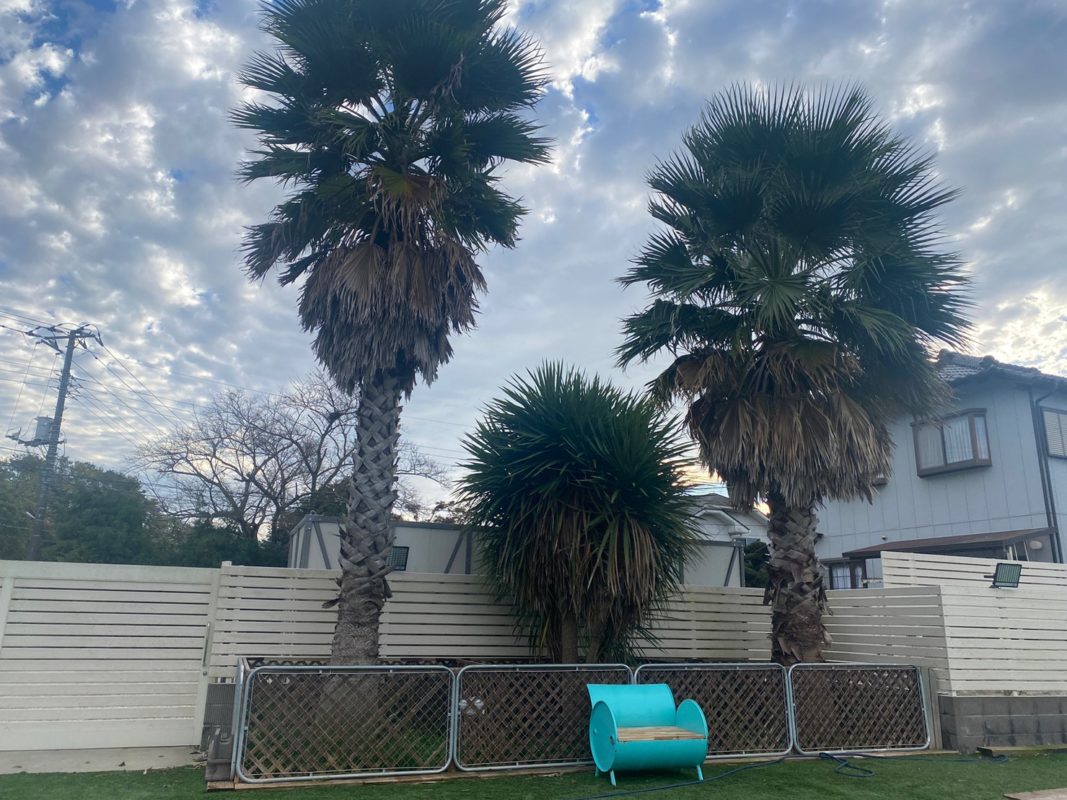 横浜のワンボックスタクシー・ハイヤー「ジュンタク」／TAXI-JUN（タクシージュン）