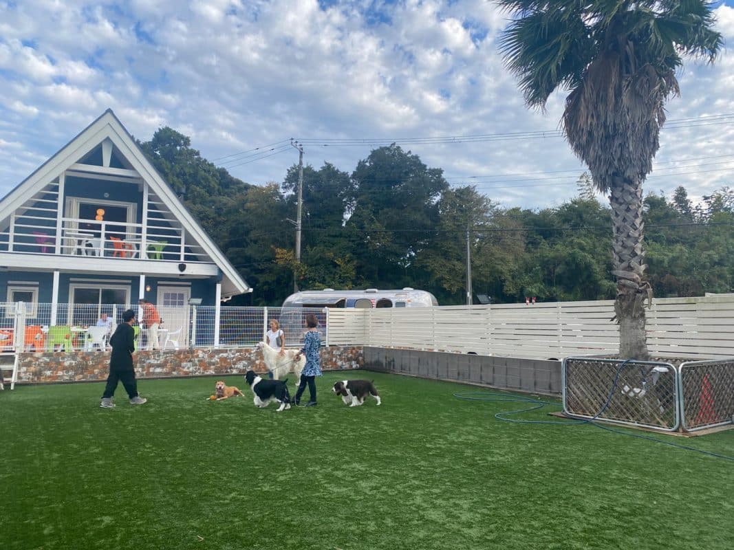 横浜のワンボックスタクシー・ハイヤー「ジュンタク」／TAXI-JUN（タクシージュン）