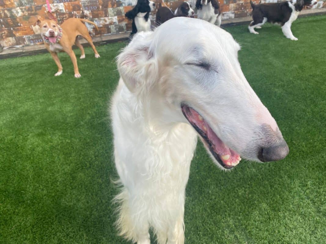 横浜のワンボックスタクシー・ハイヤー「ジュンタク」／TAXI-JUN（タクシージュン）