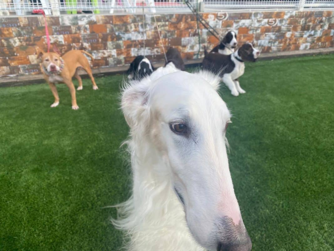 横浜のワンボックスタクシー・ハイヤー「ジュンタク」／TAXI-JUN（タクシージュン）