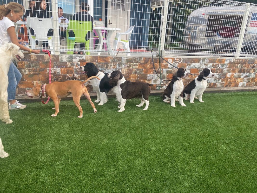 横浜のワンボックスタクシー・ハイヤー「ジュンタク」／TAXI-JUN（タクシージュン）