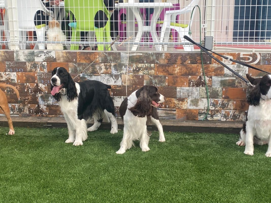 横浜のワンボックスタクシー・ハイヤー「ジュンタク」／TAXI-JUN（タクシージュン）