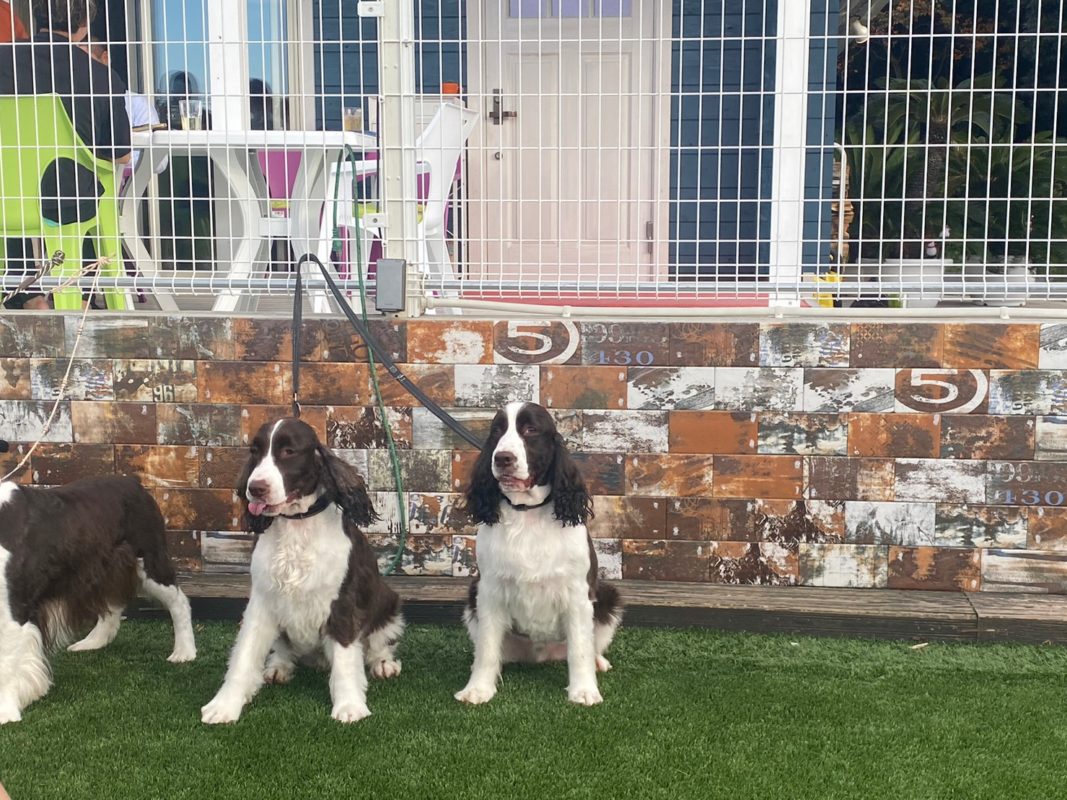 横浜のワンボックスタクシー・ハイヤー「ジュンタク」／TAXI-JUN（タクシージュン）