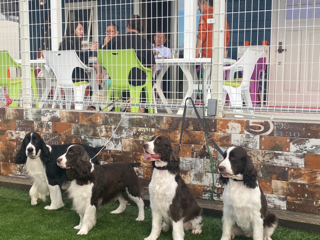 横浜のワンボックスタクシー・ハイヤー「ジュンタク」／TAXI-JUN（タクシージュン）