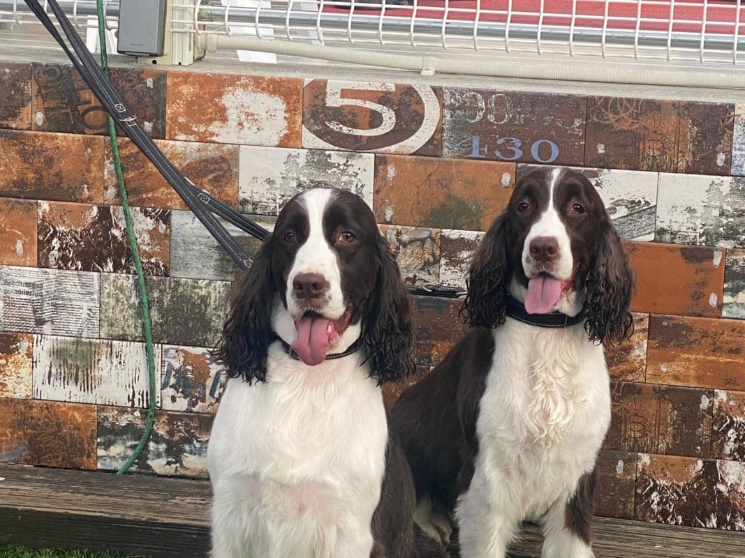 横浜のワンボックスタクシー・ハイヤー「ジュンタク」／TAXI-JUN（タクシージュン）