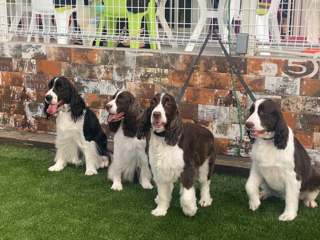 横浜のワンボックスタクシー・ハイヤー「ジュンタク」／TAXI-JUN（タクシージュン）