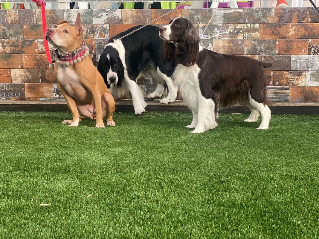 横浜のワンボックスタクシー・ハイヤー「ジュンタク」／TAXI-JUN（タクシージュン）