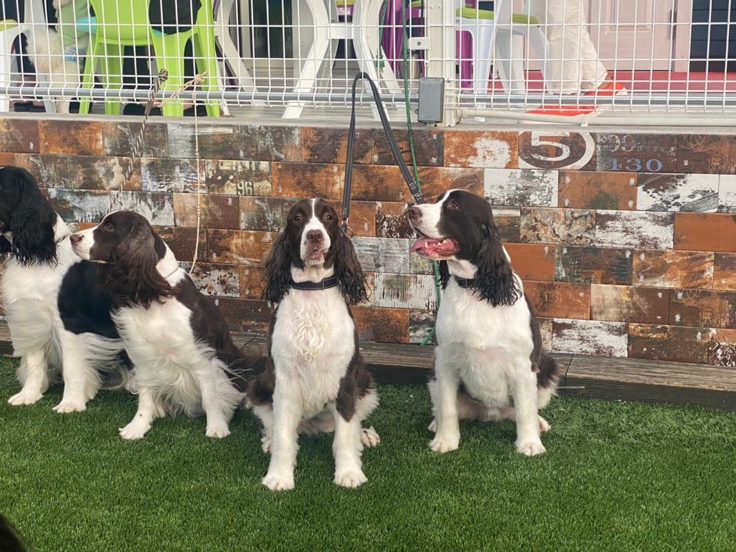 横浜のワンボックスタクシー・ハイヤー「ジュンタク」／TAXI-JUN（タクシージュン）