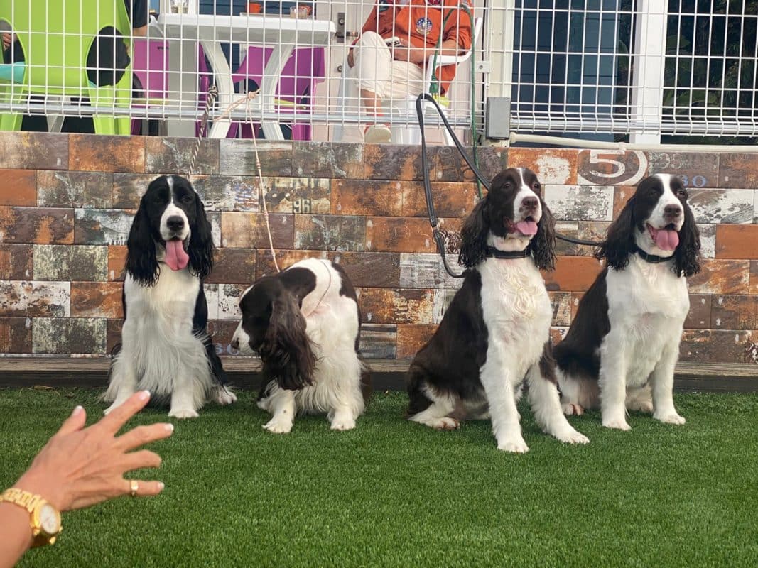 横浜のワンボックスタクシー・ハイヤー「ジュンタク」／TAXI-JUN（タクシージュン）