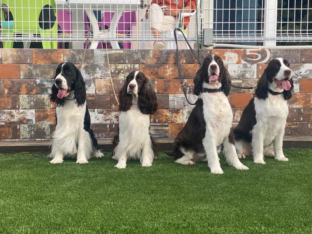 横浜のワンボックスタクシー・ハイヤー「ジュンタク」／TAXI-JUN（タクシージュン）