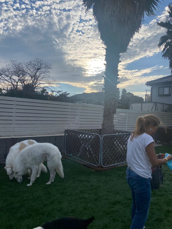 横浜のワンボックスタクシー・ハイヤー「ジュンタク」／TAXI-JUN（タクシージュン）