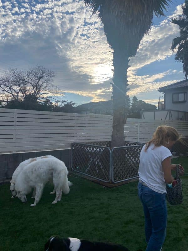 横浜のワンボックスタクシー・ハイヤー「ジュンタク」／TAXI-JUN（タクシージュン）