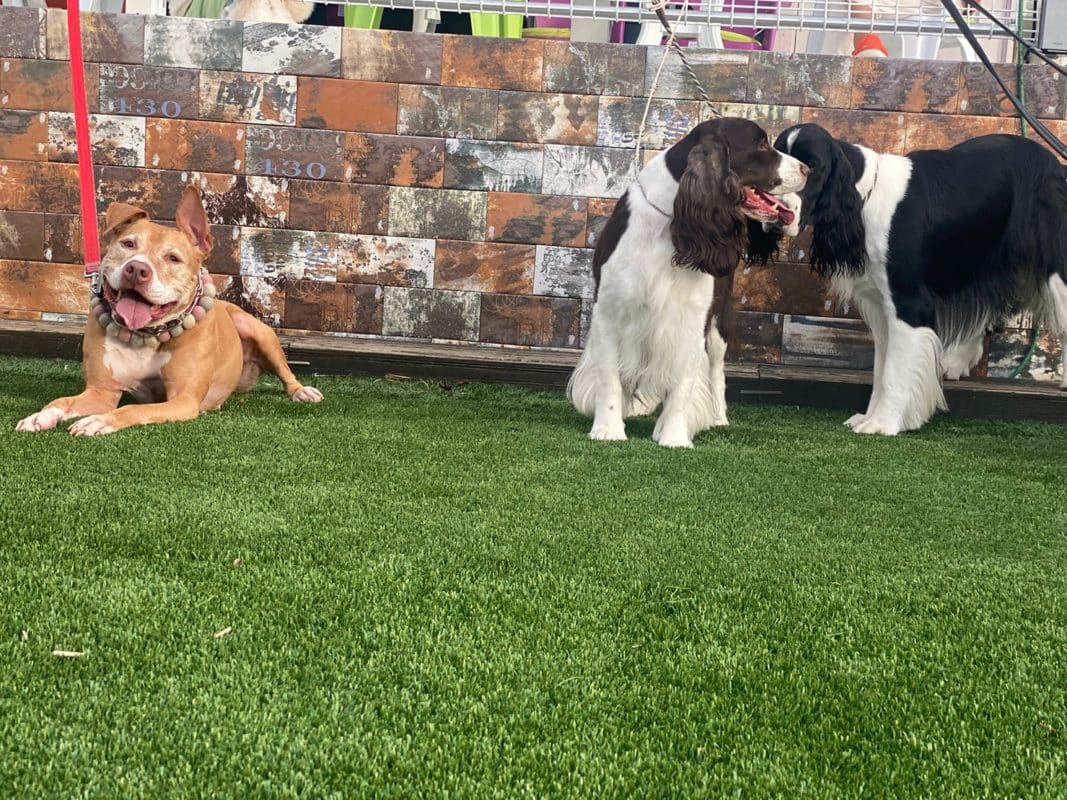 横浜のワンボックスタクシー・ハイヤー「ジュンタク」／TAXI-JUN（タクシージュン）