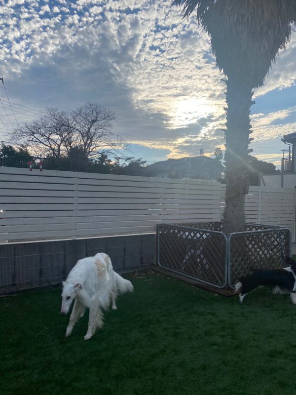 横浜のワンボックスタクシー・ハイヤー「ジュンタク」／TAXI-JUN（タクシージュン）