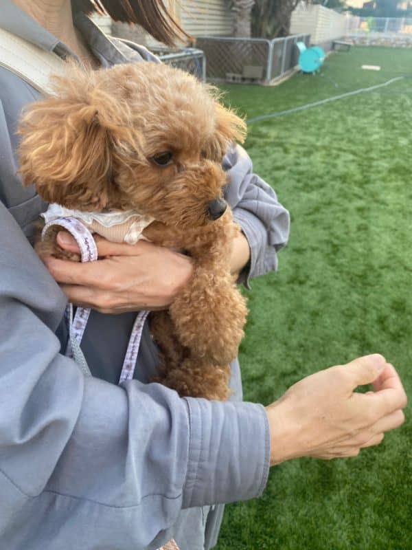 横浜のワンボックスタクシー・ハイヤー「ジュンタク」／TAXI-JUN（タクシージュン）