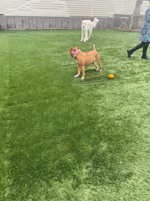 横浜のワンボックスタクシー・ハイヤー「ジュンタク」／TAXI-JUN（タクシージュン）